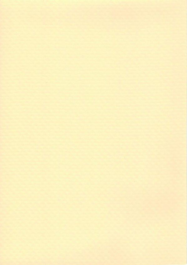 Elbe folia Elite Sand beach 25x1,65m